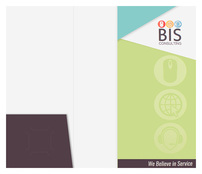 BIS Consulting (Inside Flat View)