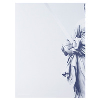 Attorney Group (Back View)