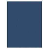 New York City Housing Authority (Back View)