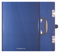 DeLaval, Inc. (Custom Two View)