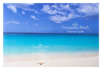 Tranquility Beach Meads Bay Anguilla (Back Flat View)