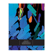 BevShots (Back View)