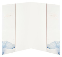 Advanced Accelerator Applications (Inside Open View)