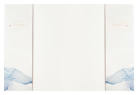 Advanced Accelerator Applications (Inside Flat View)