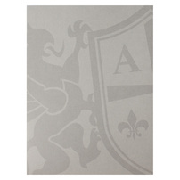 Armor Coat (Back View)