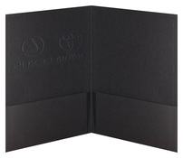 Toyota Lexus (Inside Open View)