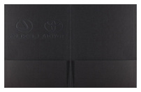 Toyota Lexus (Inside Flat View)