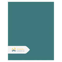 Custom Paper Folders for Wichita Community Foundation