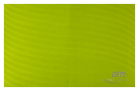 American Society of Radiologic Technologists Foundation (Back Flat View)