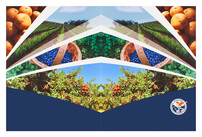 Washington Department of Natural Resources (Back Flat View)