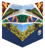 Washington Department of Natural Resources (Back and Front Open View)