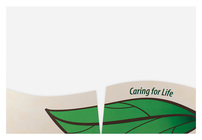 Pleasant View Shiawassee County Medical Care Facility (Inside Flat View)