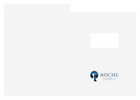 Roche Accounting, Inc. (Back Flat View)