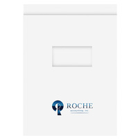 Folded Report Covers Design for Roche Accounting, Inc.