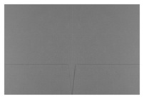 Networks of Florida (Inside Flat View)