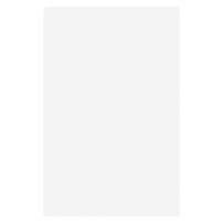 Ally Title (Back View)