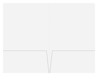 Ally Title (Inside Flat View)