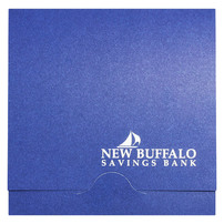 New Buffalo Savings Bank (Front View)
