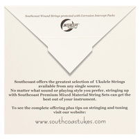 The Southcoast Ukulele & Guitar Company (Back View)