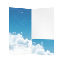 Flight1 Aviation Technologies VISPRO (Inside Open View)