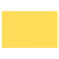 Morton Salt, Inc. (Back View)