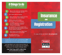 Ward Black Law (Back Flat View)