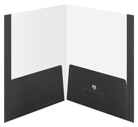 Advisors Excel (Inside Open View)