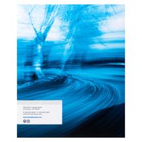 McMahon Automotive Group (Back View)