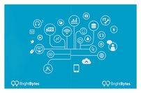 BrightBytes (Back Flat View)