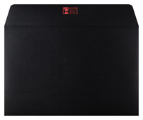 Eccentry Holidays (Back and Front Open View)