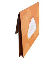 Gemini Duplication (Custom One View)