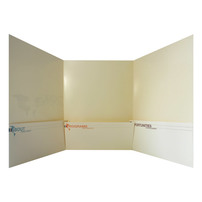 World Savvy (Inside Open View)