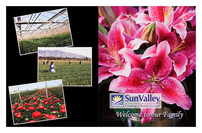 Sun Valley (Custom One View)