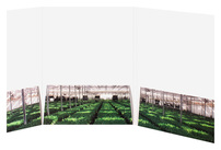 Sun Valley (Inside Open View)