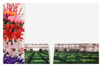 Sun Valley (Inside Partially Open View)