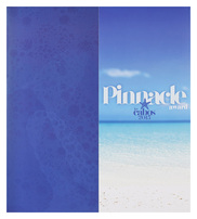 Pinnacle Award (Back Flat View)