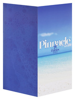 Pinnacle Award (Back and Front Open View)