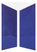 Pinnacle Award (Inside Open View)