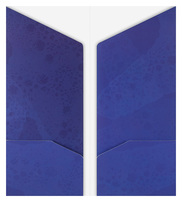 Pinnacle Award (Inside Flat View)