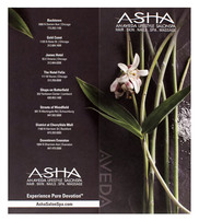 Asha SalonSpa (Back Flat View)