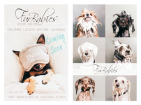 Fur Babies Resort and Spa (Stack of Two Front and Back View)