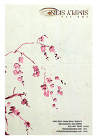 The Spa Simply Skin (Back Flat View)