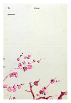 The Spa Simply Skin (Inside Flat View)