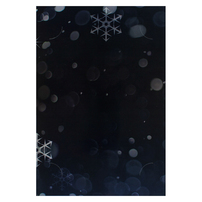 Traders Point Christian Church (Back View)