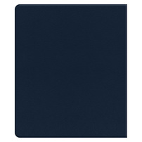 Island House Hotel (Back View)