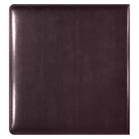 Sterling Federal Bank (Back View)