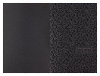 York College (Back Flat View)