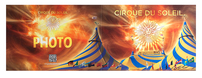 Cirque du Soleil (Back Flat View)