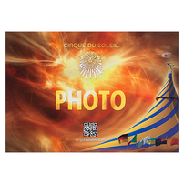 Cirque du Soleil (Back View)