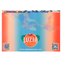 Cirque du Soleil (Back View)